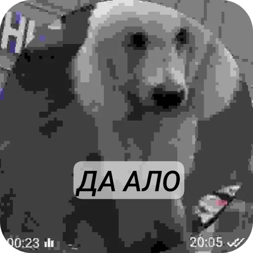 Стикер HzArtOnKAnon - 1