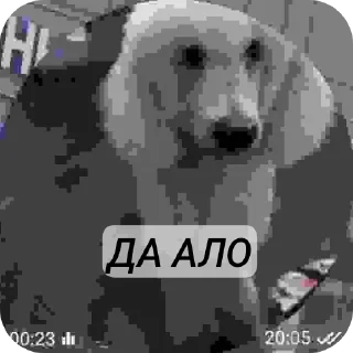 Sticker Хз @Arton_Kan0n - 8