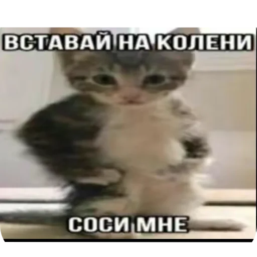 Стикер HzNeIgral67 - 1