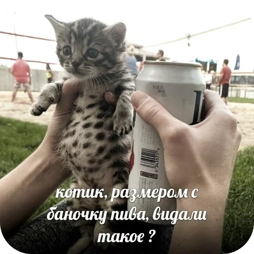 Хз не играл - 