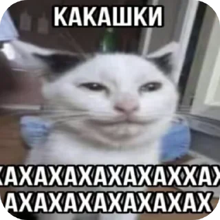 Стикер Хз не играл - 10