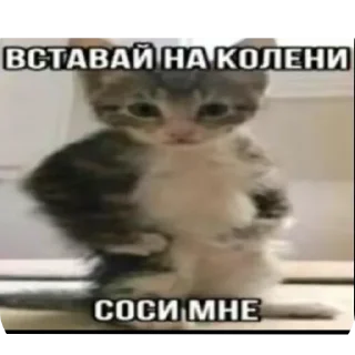 Стикер Хз не играл - 11