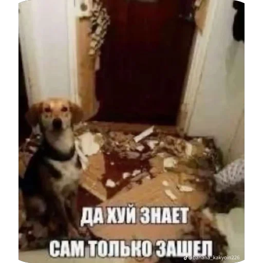 Стикер HzNePridumal424 - 1