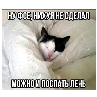 Стикер хз не придумал - 2