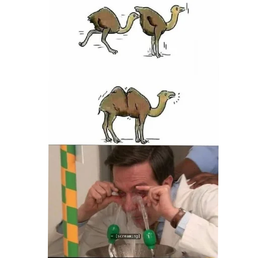 Sticker IMBLACKBOYSASHAEZZ - 1