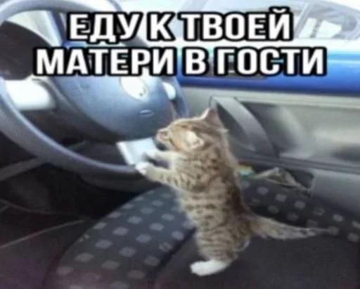 Sticker IfWxLtX_by_achestickbot - 1