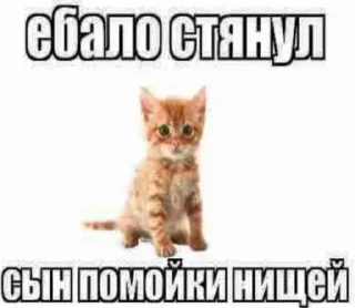 Sticker Больше стиков тут: @stikery4 - 5