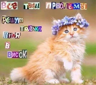Sticker Больше стиков тут: @stikery4 - 9