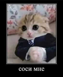 Sticker Больше стиков тут: @stikery4 - 10