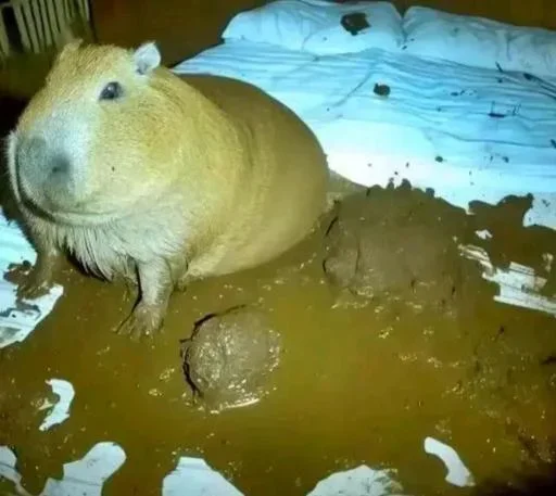 Sticker IndividualWay_EF6CD8_by_qstickrobot - 1