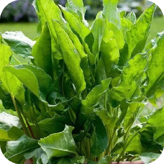 Sticker @Mamont48 Бог - 11