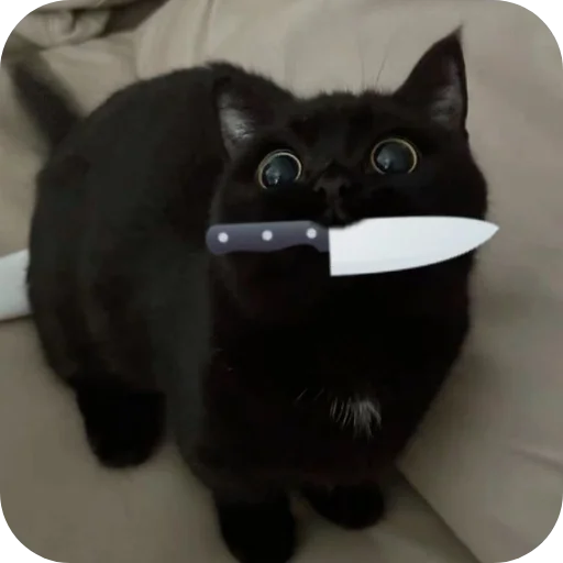 Т⋆ы⋆ к⋆о⋆т⋆и⋆к⋆ м - 