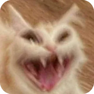 Стикер Т⋆ы⋆ к⋆о⋆т⋆и⋆к⋆ м - 11