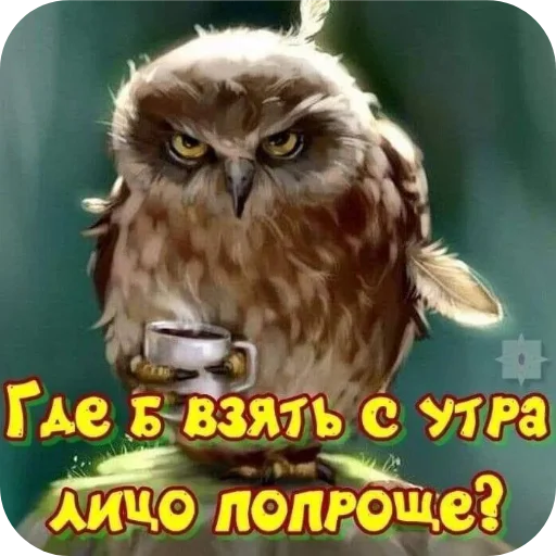 Стикер Ivp88 - 1