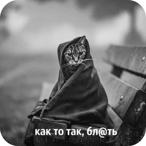 Стикер Ivp88 - 1