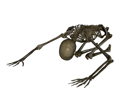 Стикер JOJD4 - 1