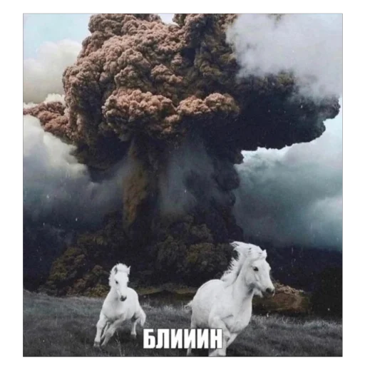 Стикер JOJD4 - 1