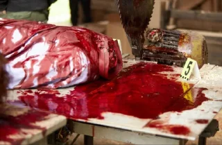 Sticker DkdkrkdИДИНАХУААА - 10