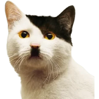 Sticker КАРТОФЕЛЬНЫЕ СТРИПСЫ - 8