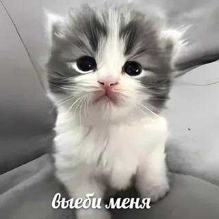 Sticker КАРТОФЕЛЬНЫЕ СТРИПСЫ - 3