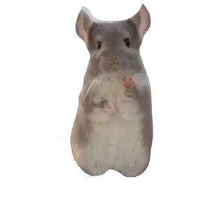 Sticker Какашка - 6