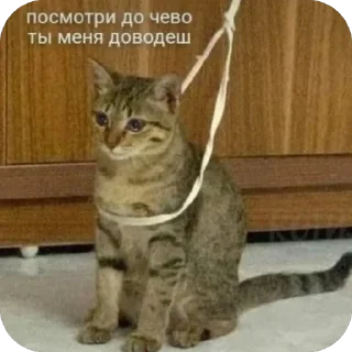 Sticker Какашка - 9