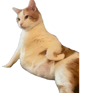 Sticker Какашка - 10