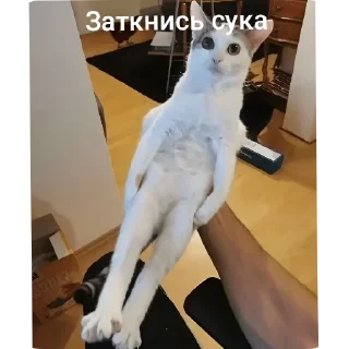 Sticker Калстрой - 11