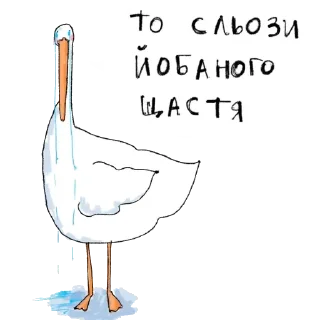 Sticker Кашка🍀 - 9