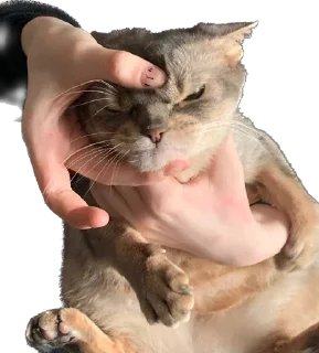 Sticker Хуй из творога - 1