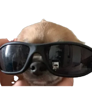 Sticker Хуй из творога - 11