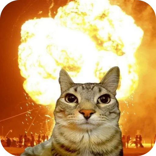 Sticker Kitties178 - 1