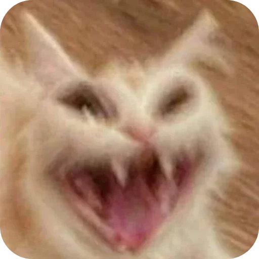 Стикер Kitties178 - 1