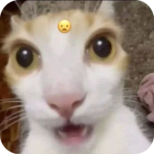 Sticker Kitties178 - 1