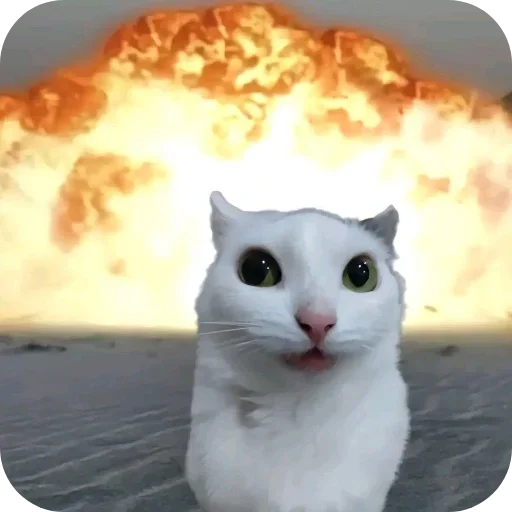 Sticker Kitties178 - 1