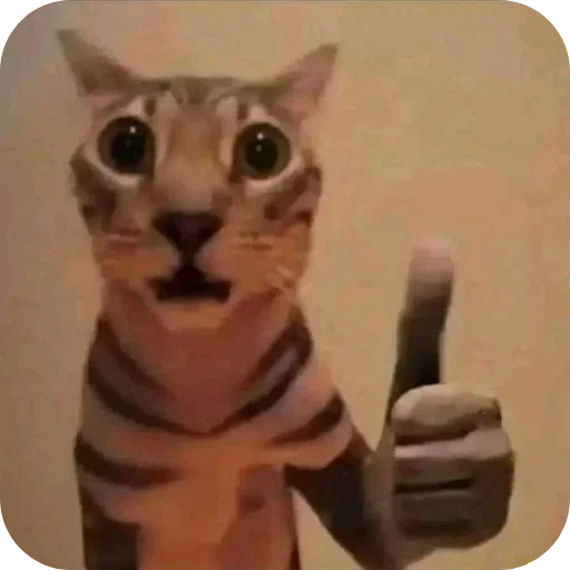 Sticker Kitties178 - 1