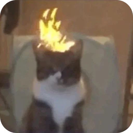 Sticker Kitties178 - 1