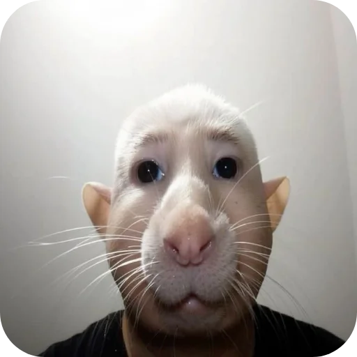 Sticker Kkk44441 - 1