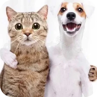 Стикер стикеры gays  EBB shh - 3