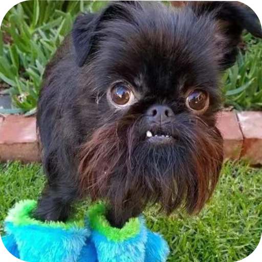 Стикер Kliks6 - 1