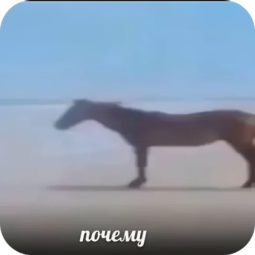 Стикер Kliks6 - 1