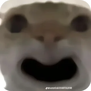 Sticker Костики и сладкие - 8