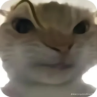 Sticker Костики и сладкие - 4