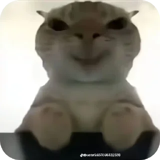 Sticker Костики и сладкие - 5