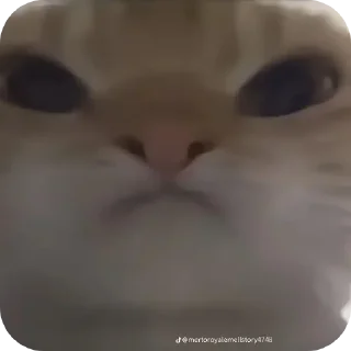 Sticker Костики и сладкие - 3