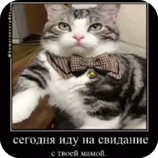 Стикер Penis - 11