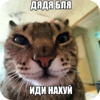 Стикер Penis - 3