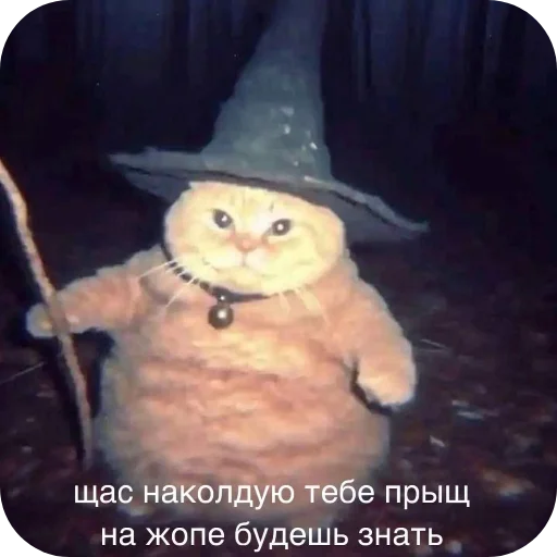 Котик волшебник @jsgyoe - 