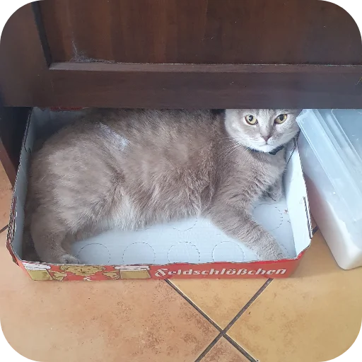 Котобанда - 