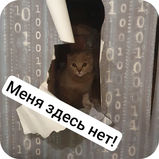 Sticker Kotobanda6 - 1